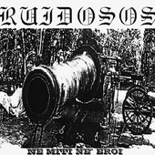 italian-punk-hardcore-band_2001_artwork.png