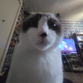 Avatar for RustyPotato08