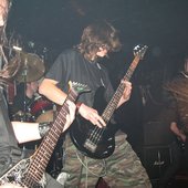whole Inscellet