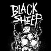 BLACK SHEEP from Belgium