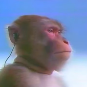 tur4nus için avatar