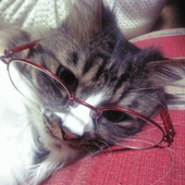 hewoitsme_isa 的头像