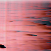 OA_PNG_02.png