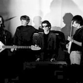 the velvet underground