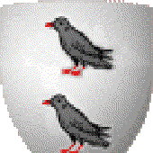 Choughed için avatar