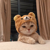triskid 的头像