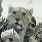 leongrrrrawr 的头像