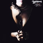 Whitesnake Slide It In