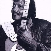 Albert Collins_2.jpg