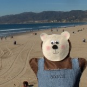 Avatar for thezipperpirate