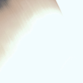 ein fiance.png