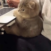 NOKKYLOL 的头像