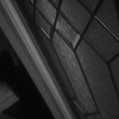 House Of Leaves II.jpg