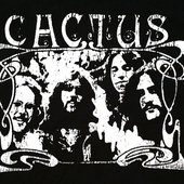 cactus_5.jpg