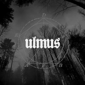 Ulmus