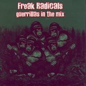 Guerrillas In The Mix