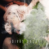 Divās Daļās