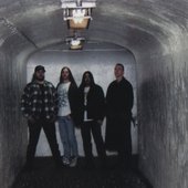 Intrauterine Cannibalism