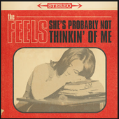 The Feels - She's Probably Not Thinkin' Of Me