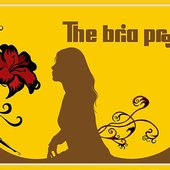 The Bria Project