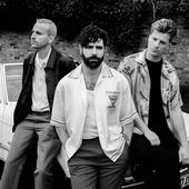 Foals Black and White