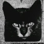 ‎