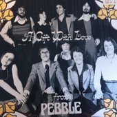Pebble -2.jpg