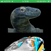 Avatar for korsaize