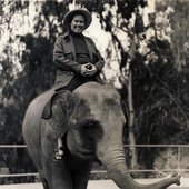 Oliveros on an elephant