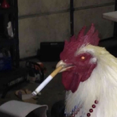 biggestduck 的头像