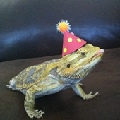 Avatar for partyiguana