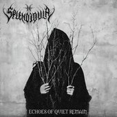 Echoes of Quiet Remain