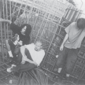 From left to right: Dino, Todd, Matt