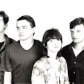 Stidljiva Ljubičica 