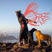 Era de las Sombras