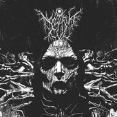 The Shadow Rebirth