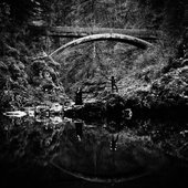IMG_0367.jpeg