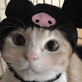 jvillegasp22 的头像