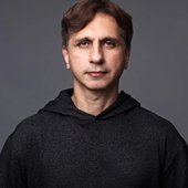 Stefnoid