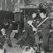 Lizard (Japan)