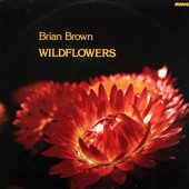Wildflowers