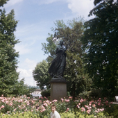 image_2024-12-03_201627626.png
