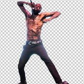 g dog