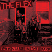 The Flex - Wild Stabs in the dark.png