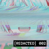 [REDACTED] 002