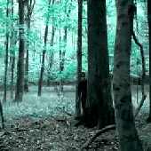 N0kt3Rn4L 的头像