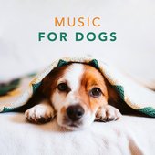 Music for Dogs - Relaxing Songs for Dogs and Puppies