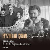 Bu Yıl Bu Dağların Karı Erimez (Feyzullah Çınar Eserleri 1) - Single