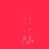 57588174_526783167848073_5107822051842850816_n.png