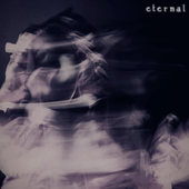 ETERNAL: The Mashup Album